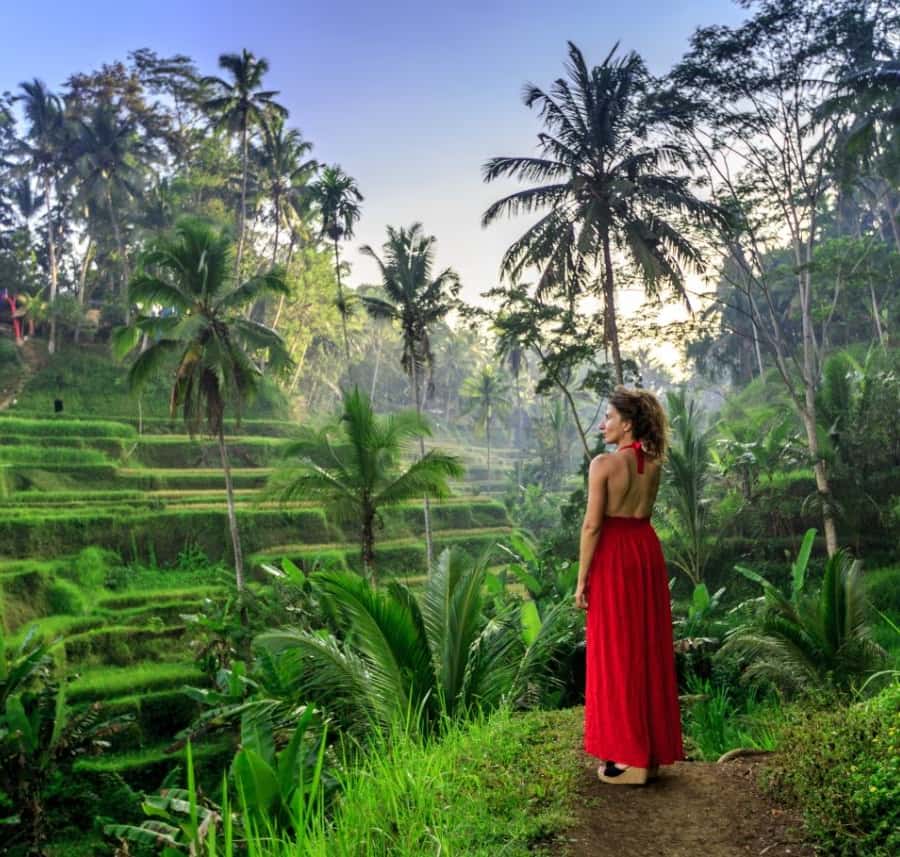 Ubud All Inclusive Tour with Optional Lunch Hotels Booking Trips