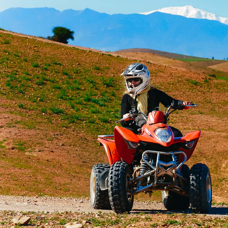 Marrakech: Quad Bike Tour to Palm Oasis and Jbilat Desert Hotels Booking Trips