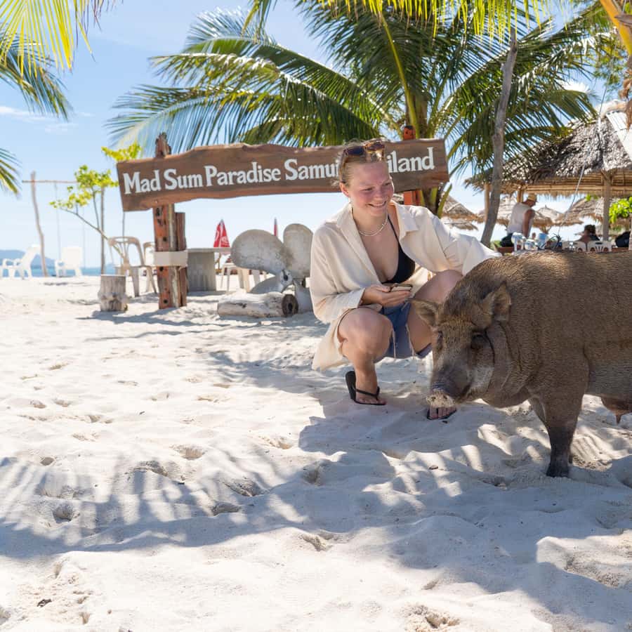 Koh Samui: Island Hopping Adventure in Coral and Pig Island Hotels Booking Trips