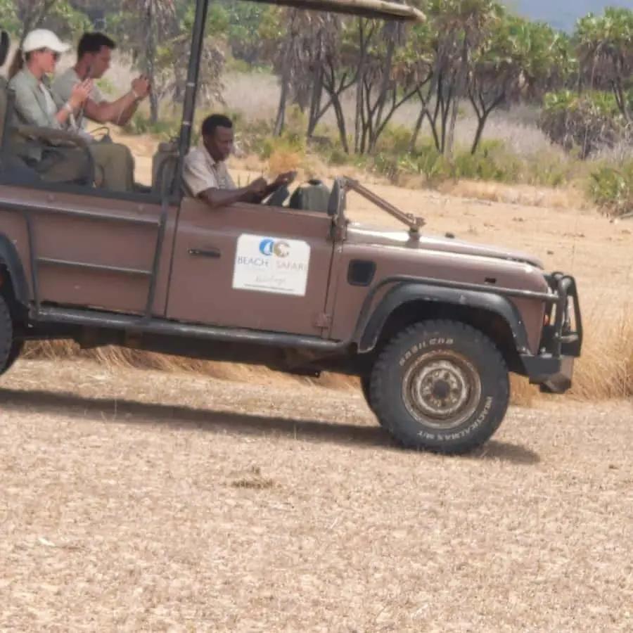 From Zanzibar: Mikumi Safari Day Trip with Flights and Lunch Hotels Booking Trips