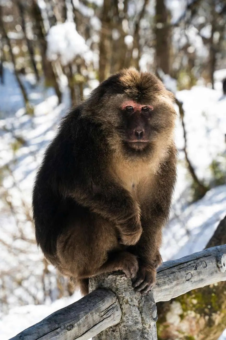 Fes: 3 Days Desert Tour from Fes back to Fez Hotels Booking Trips