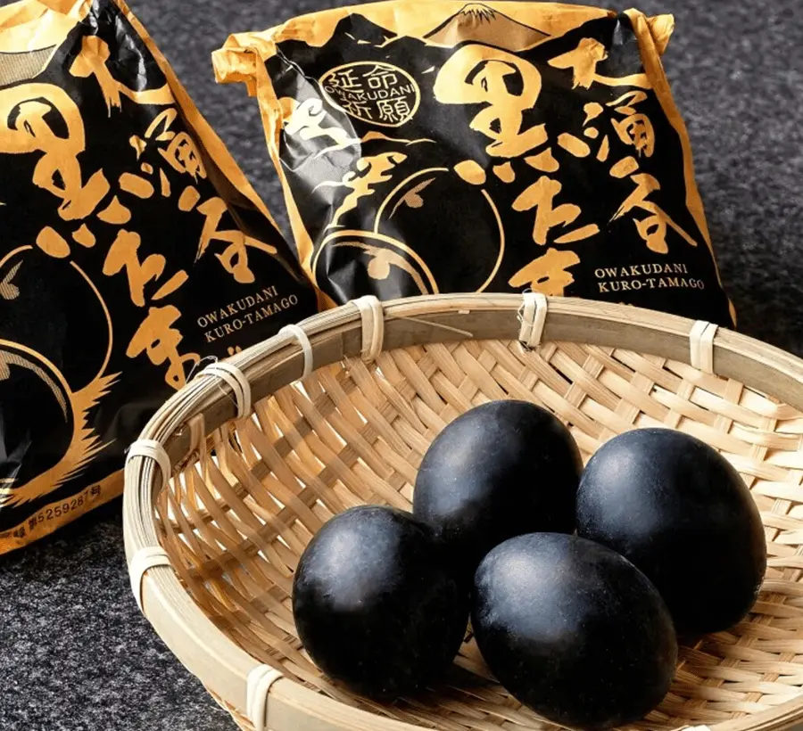 Tokyo: Mt. Fuji Tour, Hakone Ropeway, Owakudani, Lake Ashi Hotels Booking Trips