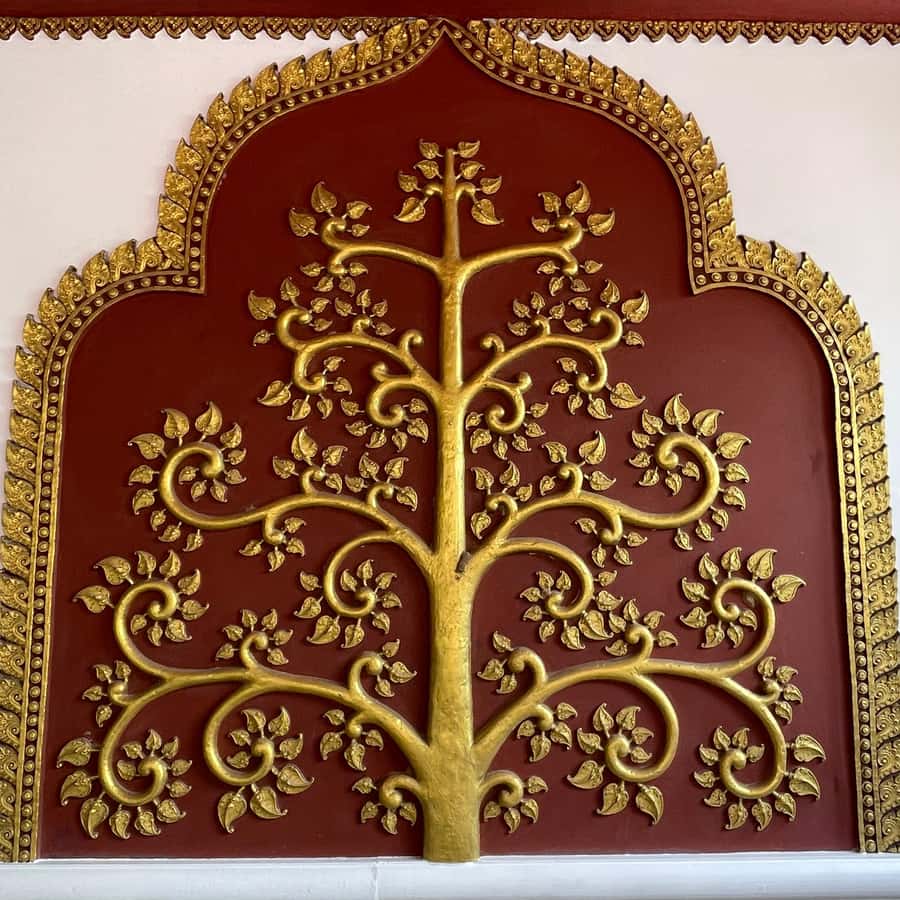 Koh Samui: Mr.Ung's 4WD Wild Jungle Safari Tour with Lunch Hotels Booking Trips