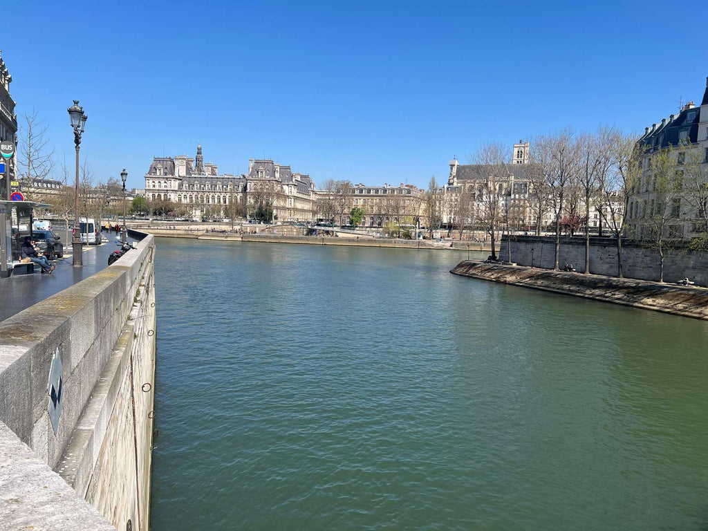 Paris Notre-Dame Cathedral Exterior Tour with Entrance 