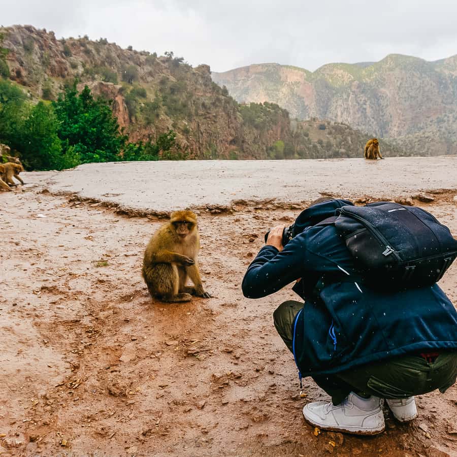 From Marrakech: Ouzoud Waterfalls Guided Hike and Boat Trip Hotels Booking Trips