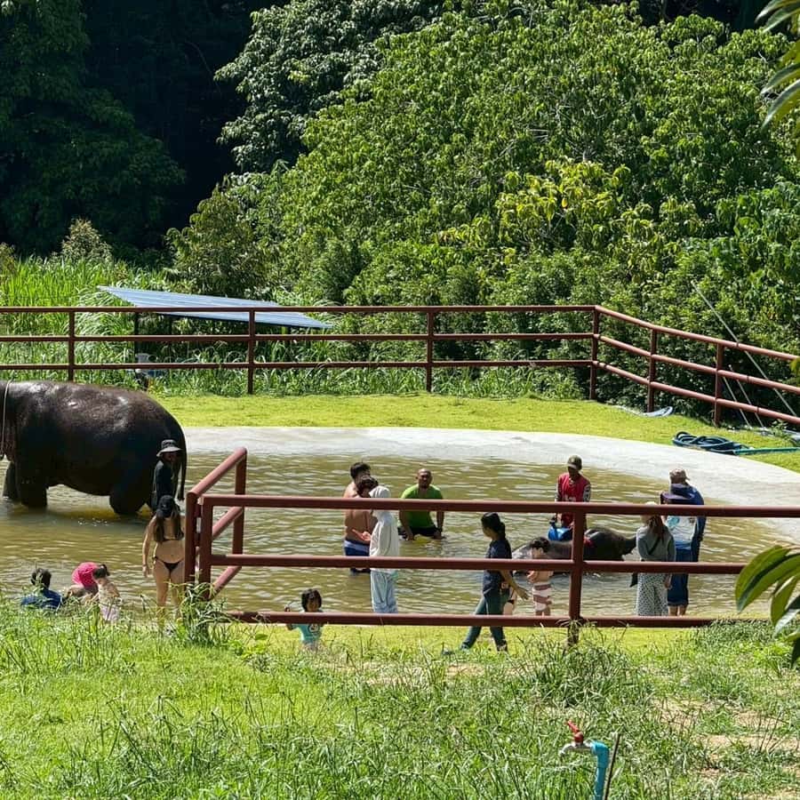 Koh Samui: Half-Day Island Highlights Tour with Hotel Pickup Hotels Booking Trips