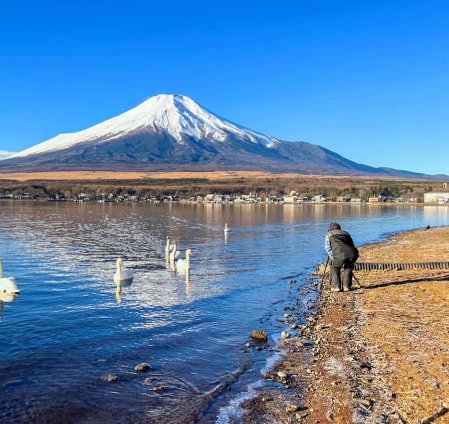 Tokyo: Mt. Fuji Tour, Hakone Ropeway, Owakudani, Lake Ashi Hotels Booking Trips