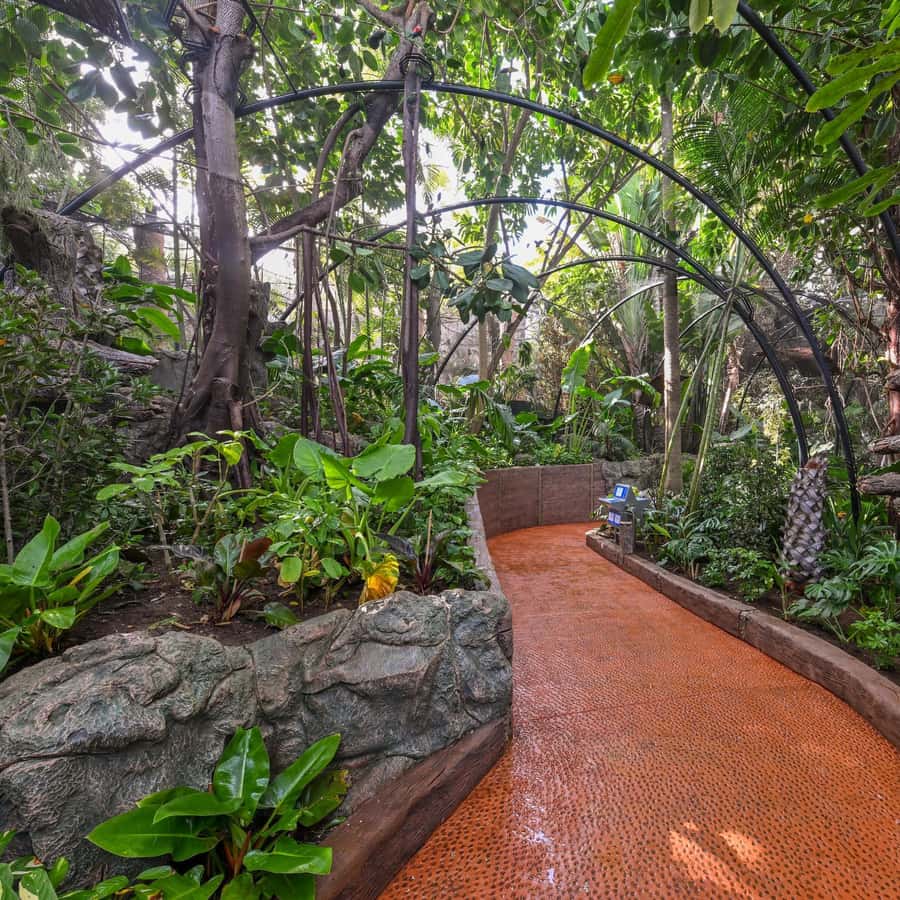 Tenerife: Loro Parque Entry Ticket Hotels Booking Trips