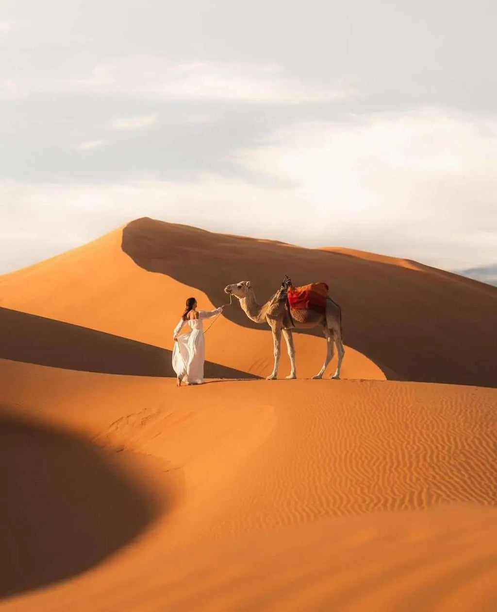 Majestic Desert: 3-Day Luxury Journey from Marrakech to Fes Hotels Booking Trips