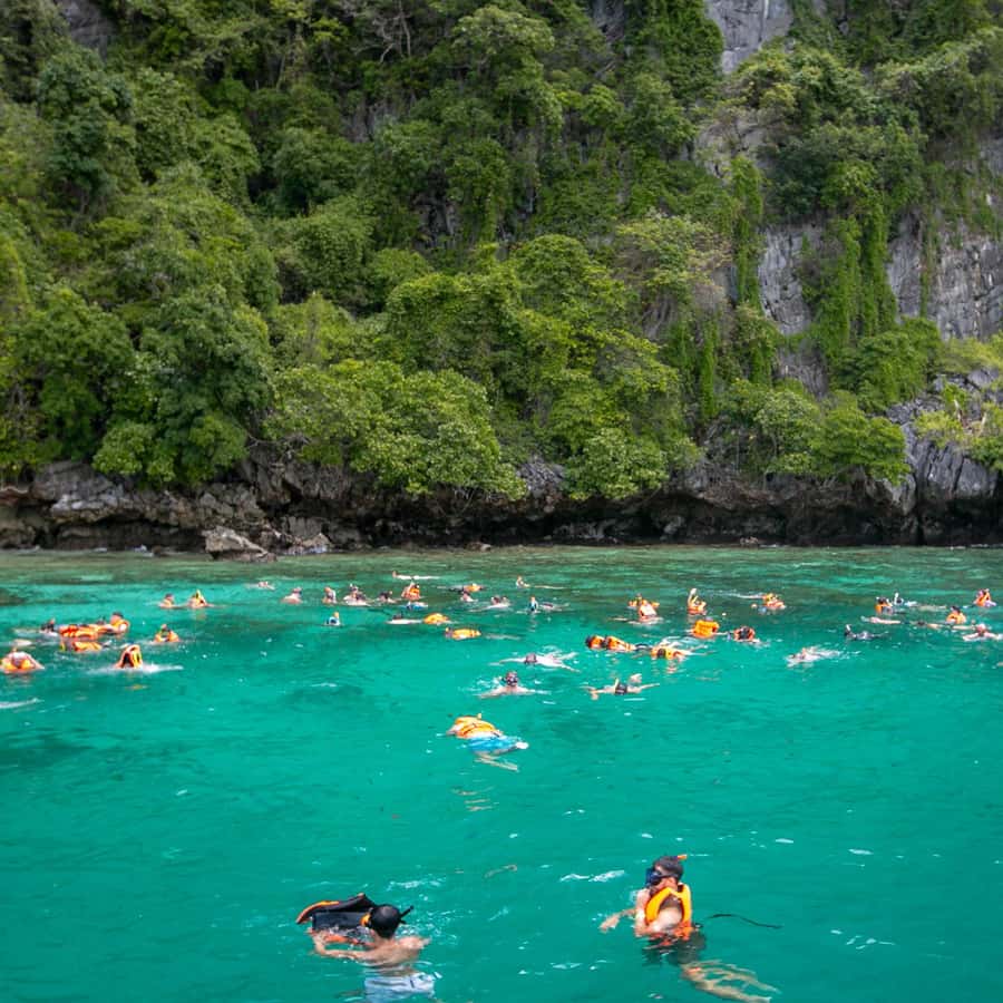 From Phi Phi Half Day Longtail Boat Tour with Snorkeling 
