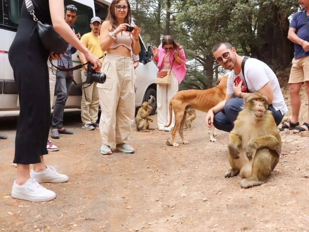 From Marrakech 3 Day Sahara Desert Adventure to Fes 