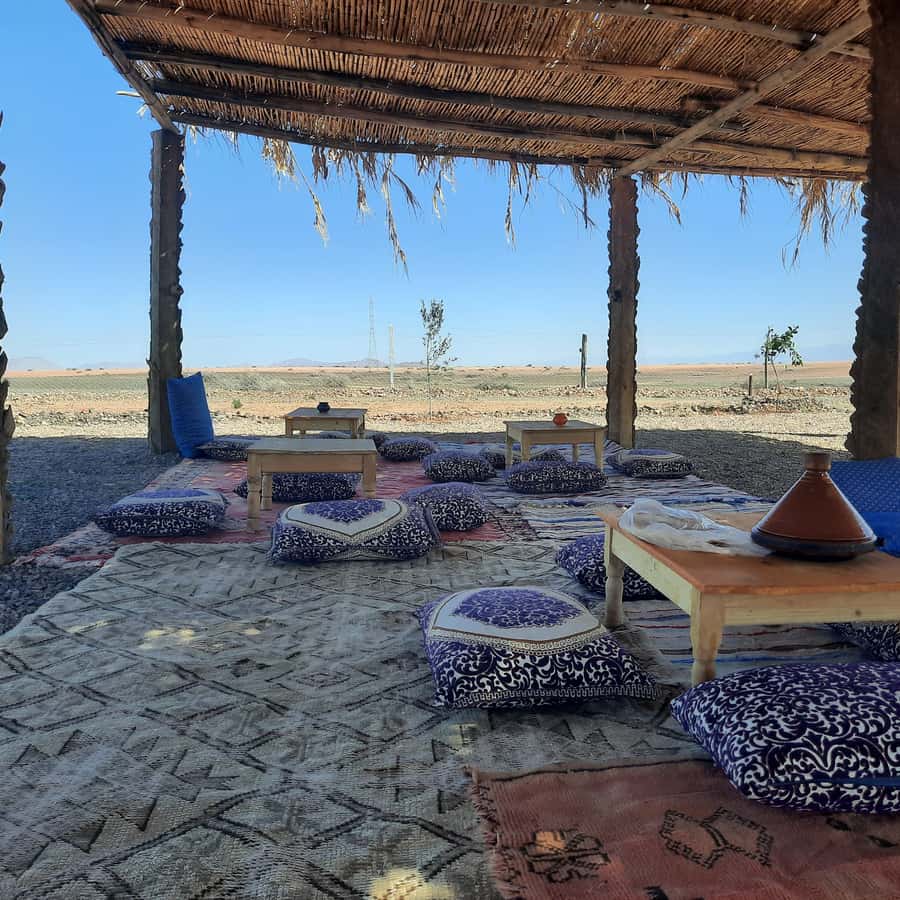 Marrakech: Quad Bike Tour to Palm Oasis and Jbilat Desert Hotels Booking Trips