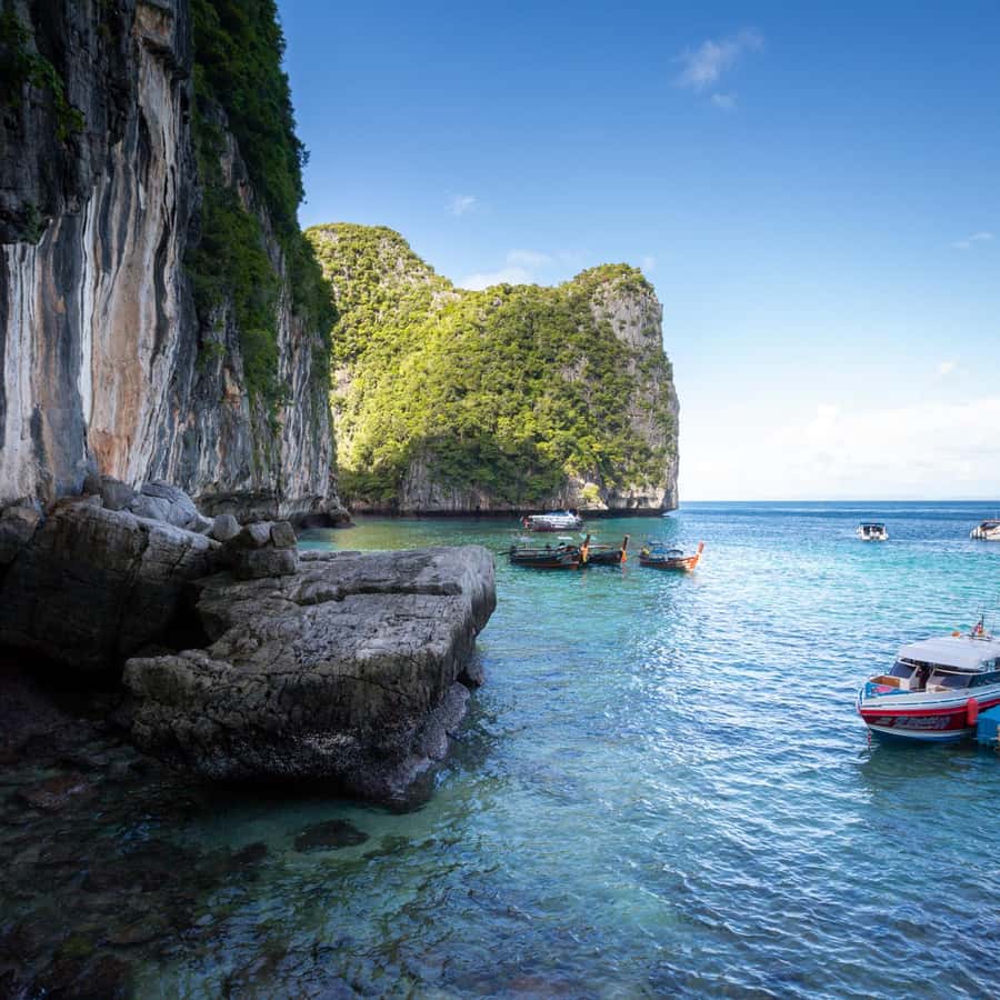 From Phi Phi Half Day Longtail Boat Tour with Snorkeling 