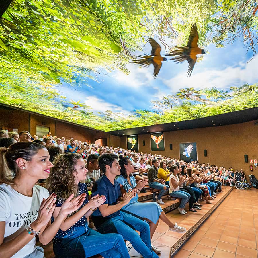 Tenerife: Loro Parque Entry Ticket Hotels Booking Trips