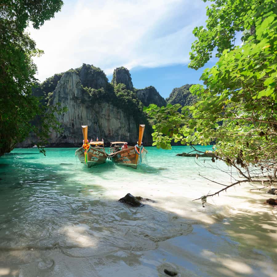 From Phi Phi Half Day Longtail Boat Tour with Snorkeling 