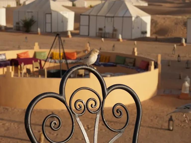 Royal Luxury Camp merzouga Booking hotels accommodation trip