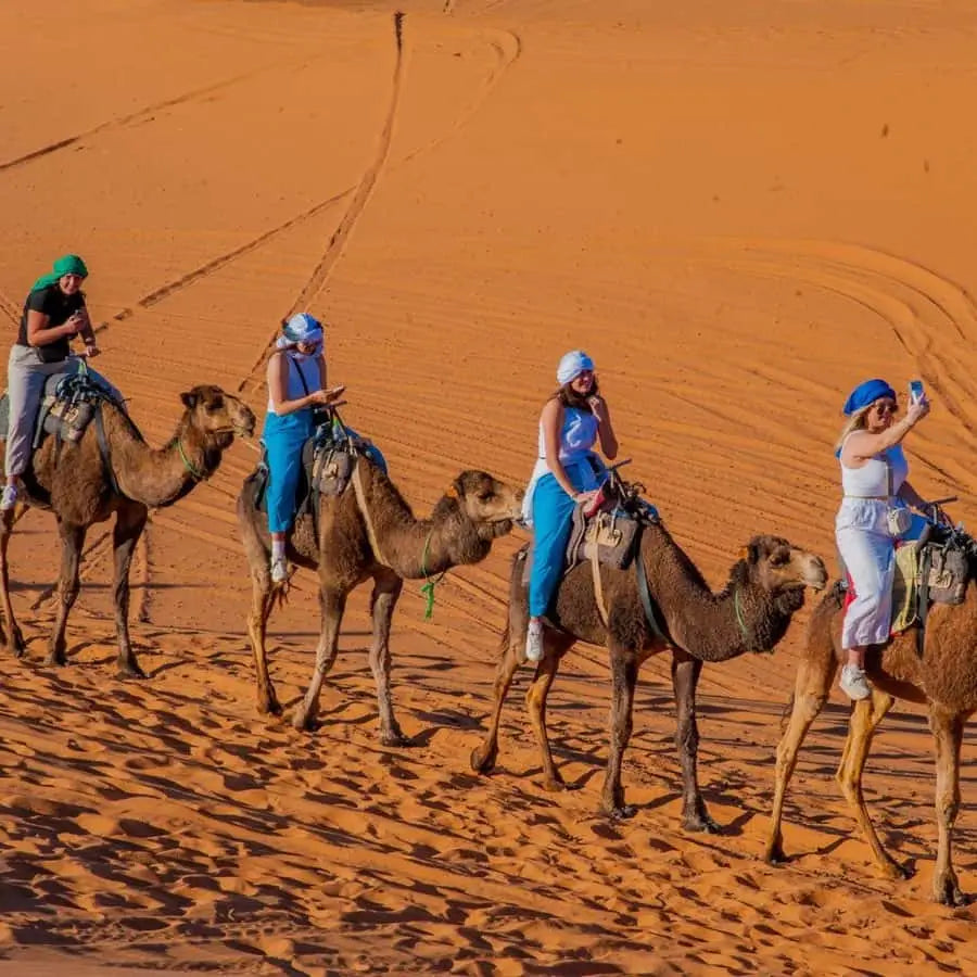 From Marrakech Unforgettable 3 Day Desert Tour to Fes 